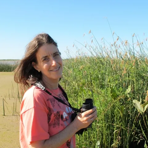 Biologist Martha Weiss of Georgetown University studies Lepidopteran learning and memory.