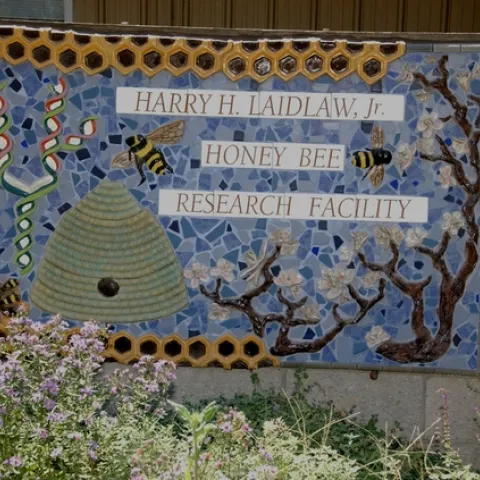 The sign at the Harry H. Laidlaw Jr. Honey Bee Research Facility. (Photo by Kathy Keatley Garvey)