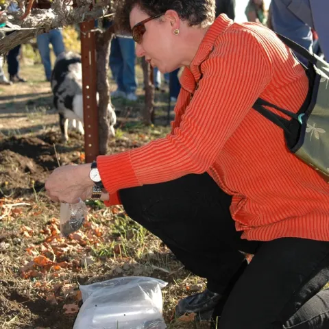 Pamela Marrone is an international expert in agricultural biotechnology and bioscience