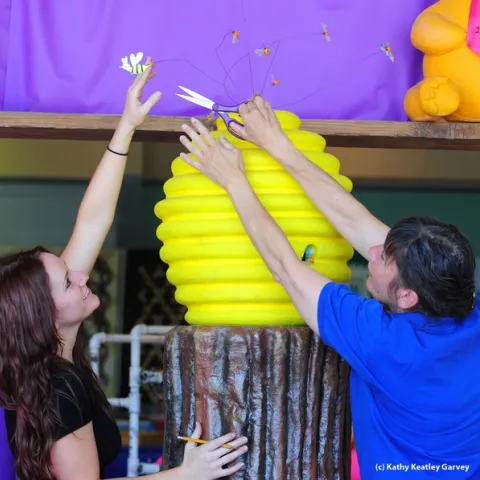 Elisa Seppa (left), superintendent of McCormack Hall, Solano County fFair and assistant superintendent Gloria Gonzalez work on a skep display. (Photo by Kathy Keatley Garvey)