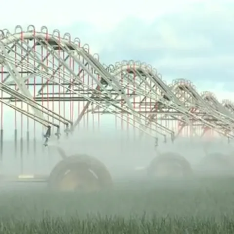Overhead irrigation systems, such as center pivots, are particularly useful when coupled with conservation tillage.