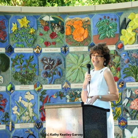Kathleen Socolofsky, director of the UC Davis Arboreteum, at a ceremony honoring the donors. (Photo by Kathy Keatley Garvey)