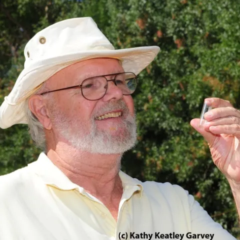 Native pollinator specialist Robbin Thorp, emeritus professor of entomology at UC Davis. (Photo by Kathy Keatley Garvey)