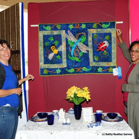 Gloria Gonzalez (left) of Vallejo, superintendent of McCormack Hall, Solano County Fair, and assistant Iris Mayhew of Vallejo hang a quilt by LaQuita Tummings of Vallejo. (Photo by Kathy Keatley Garvey)