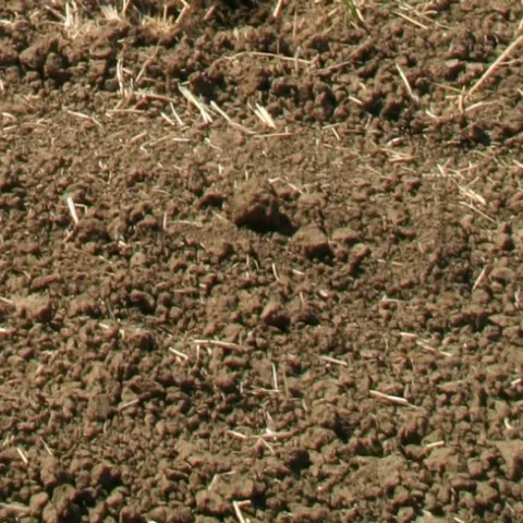 'Biotic farming' considers all living things, not just the crop being grown.