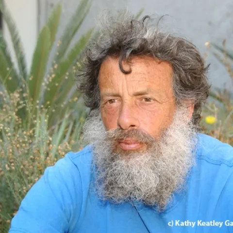 Butterfly expert Art Shapiro of UC Davis. (Photo by Kathy Keatley Garvey)