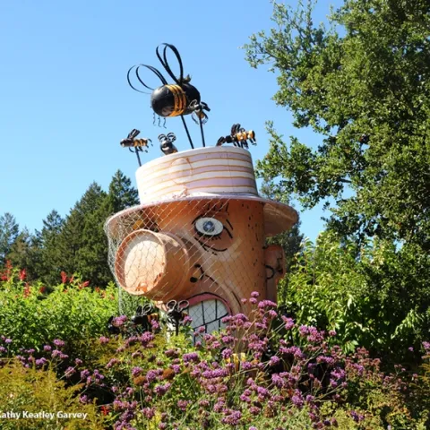 A sculpture of Bernard the Beekeeper graces the entrance to Melissa's Garden, Healdsburg. (Photo by Kathy Keatley Garvey)