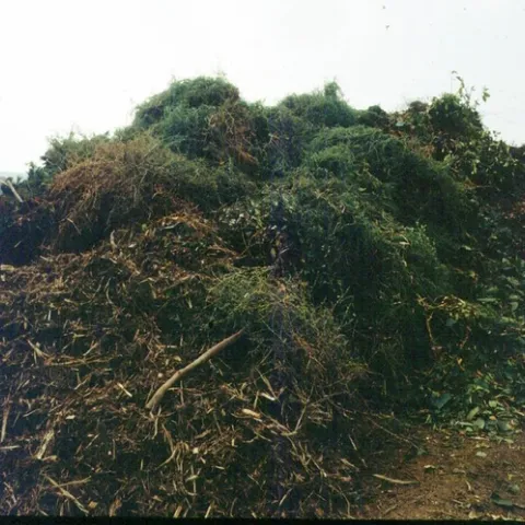 green waste