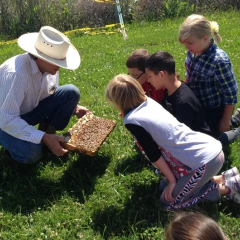 Beekeeper Brian Fishback shows students at Lake Canyon Elementary School, Galt, a frame of bees. (Photo by Beth Bartkowski)