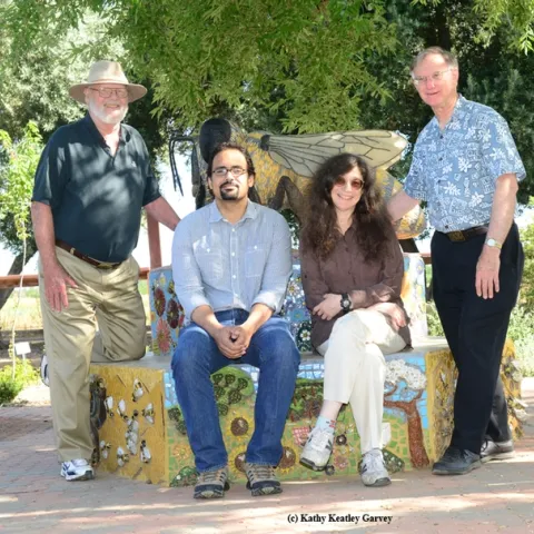 The Bee Team: In front are bee scientist Brian Johnson of UC Davis and May Berenbaum, professor and head of Department of Entomology at the University of Illinois at Urbana-Champaign. In back are native pollinator specialist Robbin Thorp, emeritus professor of entomology, and Extension apiculturist Eric Mussen of UC Davis. The sculpture is by Davis artist Donna Billick. (Photo by Kathy Keatley Garvey)