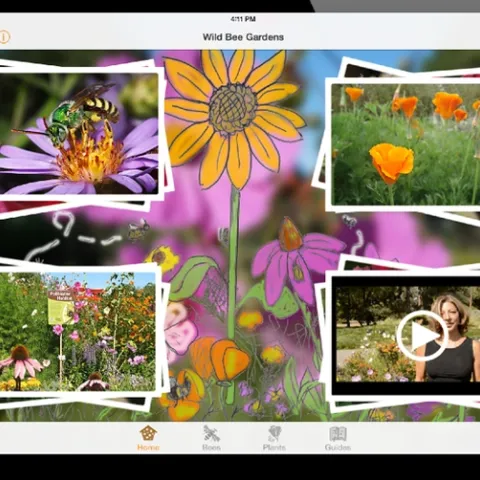 A screen shot of the "Wild Bee Gardens" app.