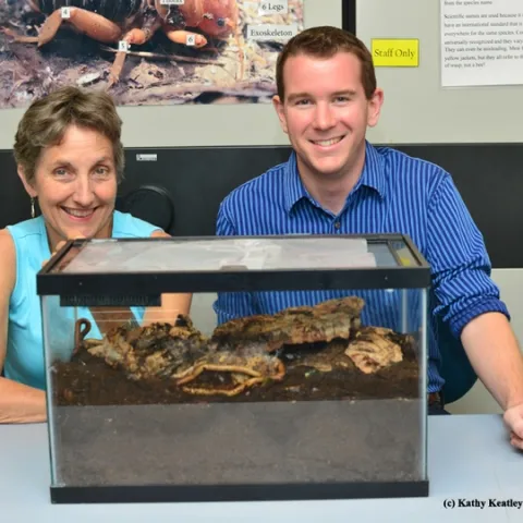 Lynn Kimsey, director of the Bohart Museum of Entomology, and millipede enthusiast Evan White, both of UC Davis,