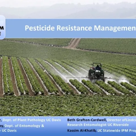 pest resistance