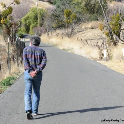 Today Art Shapiro looked for a cabbage white butterfly along Gates Canyon Road, Vacaville, but didn't find it. The photo is from one of his 2014 field trips up Gates Canyon Road. (Photo by Kathy Keatley Garvey)