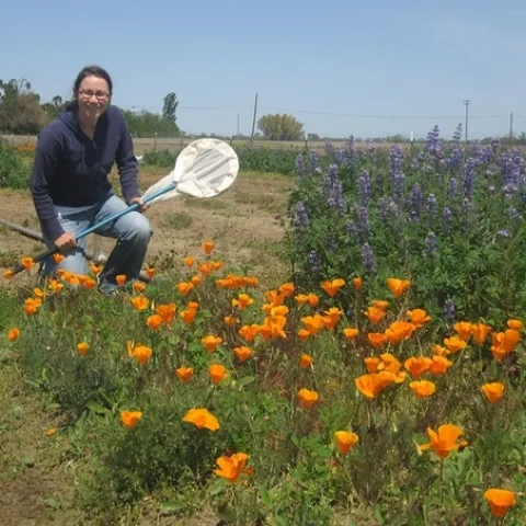 Katharina Ullmann, who just received her doctorate in entomology from UC Davis and is now a pollinator conservation specialist for the Xerces Society, is co-coordinator of the workshop. (Photo by Neal Williams)