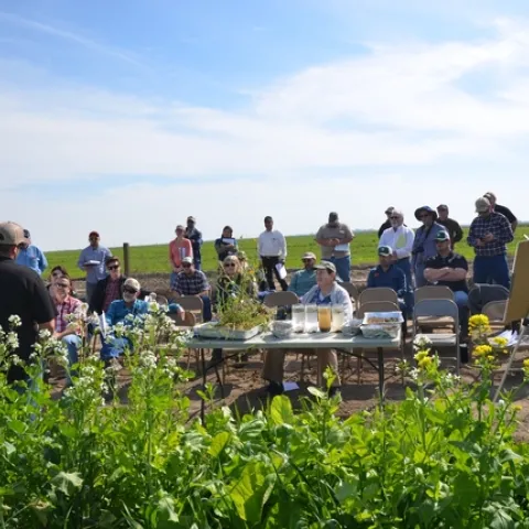 Picture of audience members attending field day at Lucero Farms on February 26, 2015.