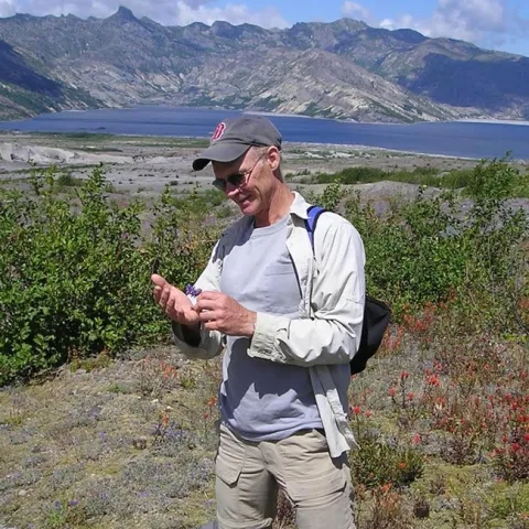 George Kennedy, the William Neal Reynolds Distinguished Professor of Agriculture at North Carolina State University, stopped to count thrips during a vacation to Mt. St. Helens. (Photo by Scott Kennedy)