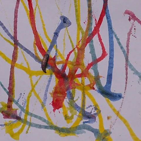 UC Davis professor Diane Ullman created this maggot art last year during the UC Davis Picnic Day. Maggots are dipped into non-toxic, water-based paint and allowed--or encouraged--to roam. (Photo by Kathy Keatley Garvey)