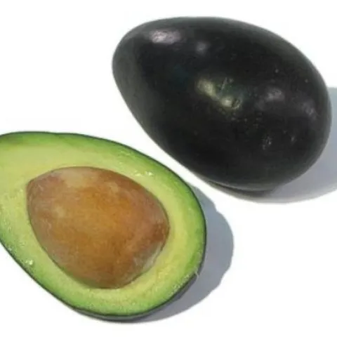 brogdon avocado