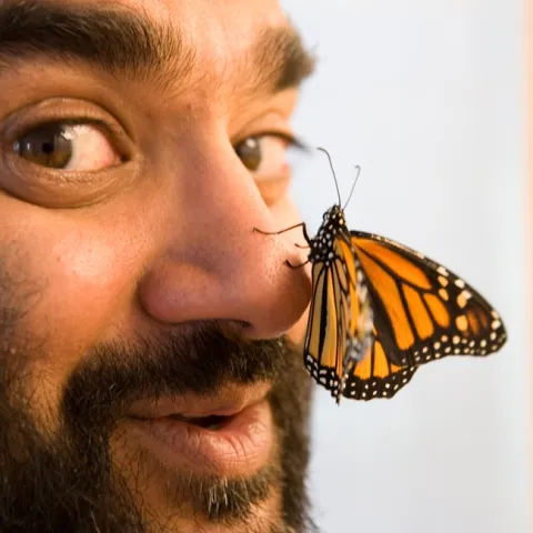 Anurag Agrawal and his friend, a monarch butterfly. (Jason Koski, Cornell University Photography)