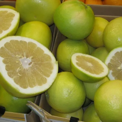 Melogold and Oro Blanco