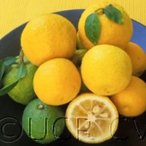 Yuzu fruit bowl