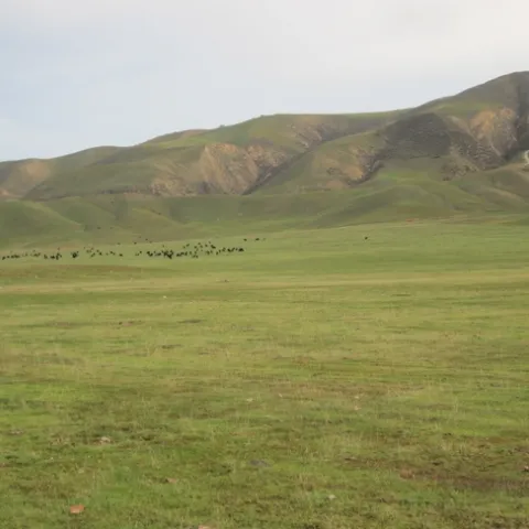 Beautiful San Benito County!