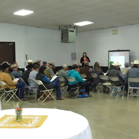 Jill Scofield from the California Beef Council discusses Beef Quality Assurance