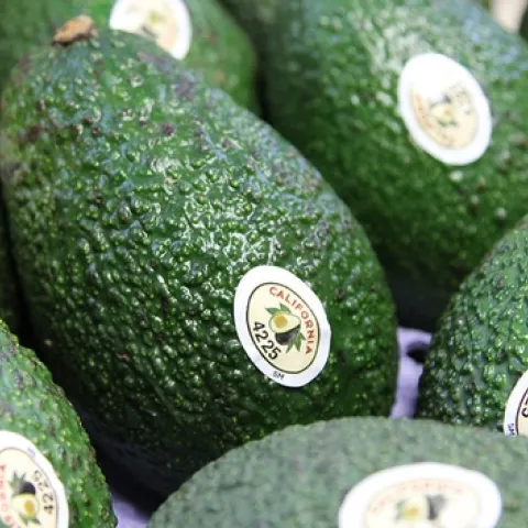 Copyright © 2016 California Avocado Commission