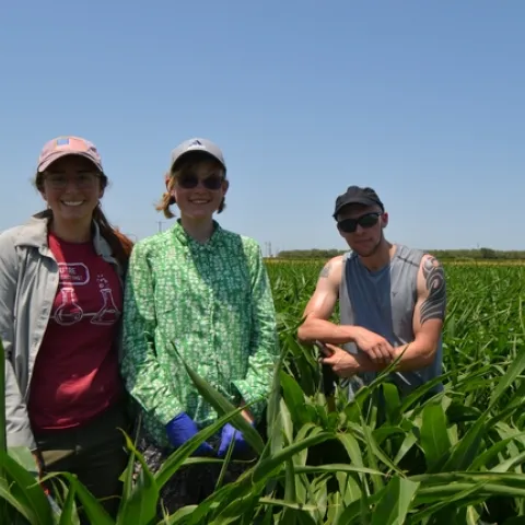 UC Berkeley students sample soil microbiome in NRI field.