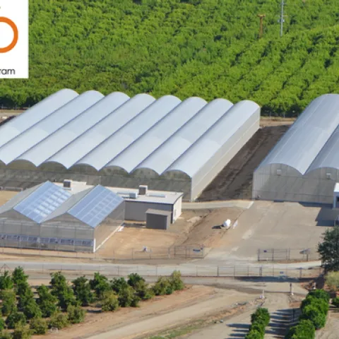 CCCP foundation block operations at Lindcove