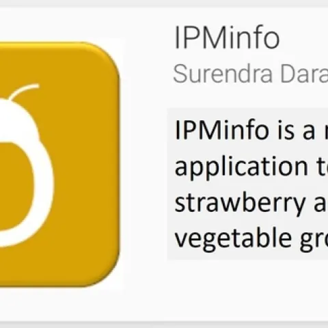 IPMinfo