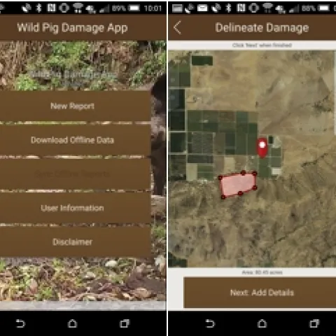 WildPigAppScreenShots