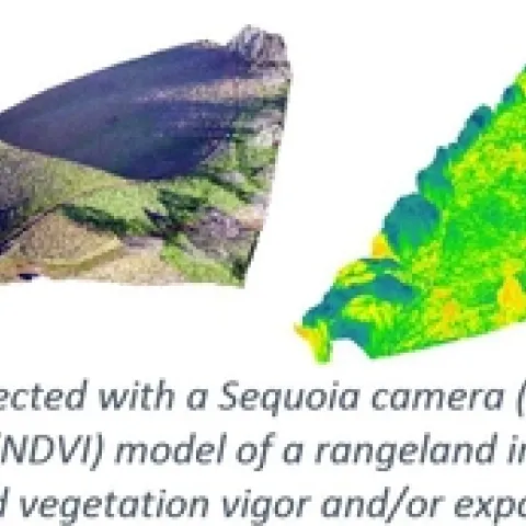 Parrot Sequoia RGB NDVI Mendocino