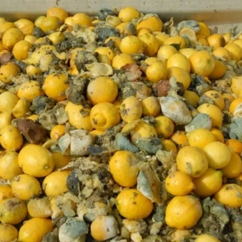 lemon waste