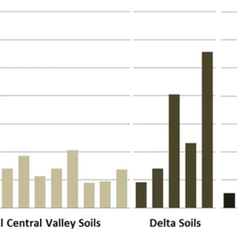 Figure 1. Net N mineralization