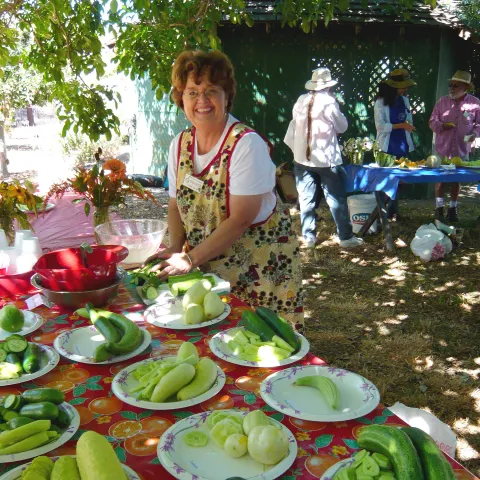 Cucumber tasting at Nine Palms Ranch (Photo: Barbara Williams-Sheng)