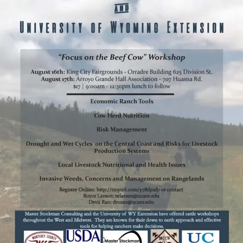 Focus on the Beef Cow Flyer - PDF