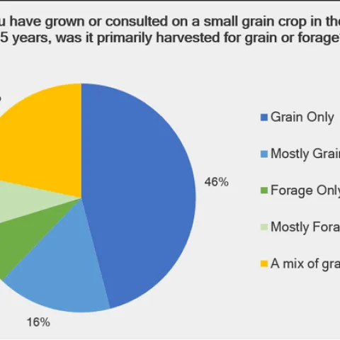 2017 UC Small Grains Survey