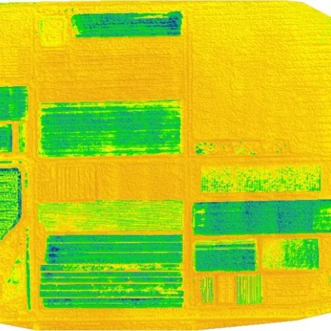 mNDGI image of a field at Desert Research and Extension Center