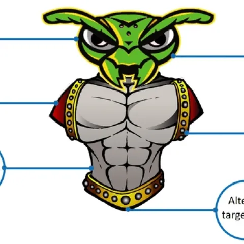 Insecticide resistance mechanisms