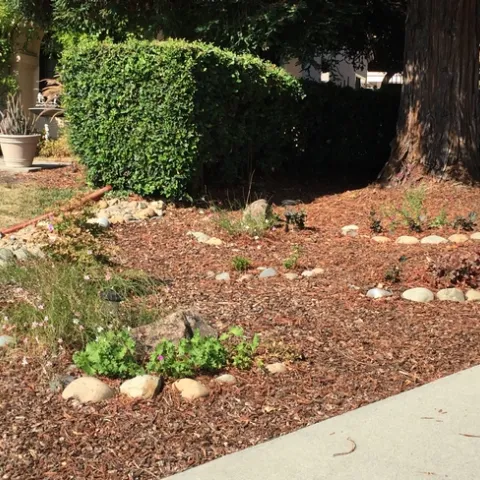 photo by Martha White