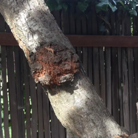 photos by Michelle Davis