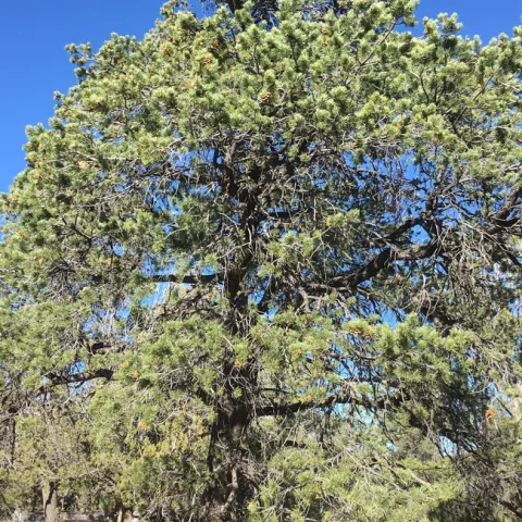 photos by Betty Homer