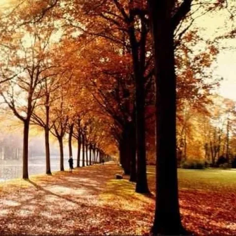 Photo: ehsboltnewspaper. worldpress.com