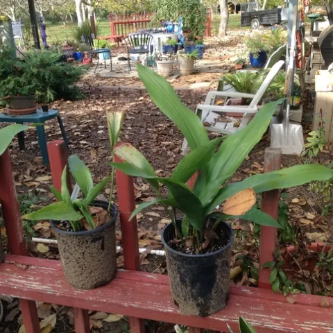 photo by Jenni Dodini