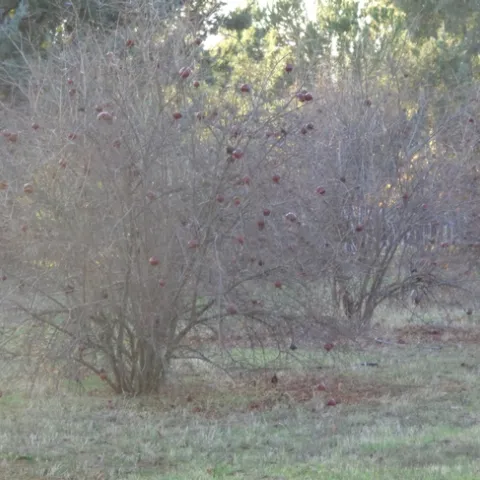 photo by Michelle Davis