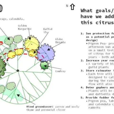 Citrus Guild, Earthshed Solutions