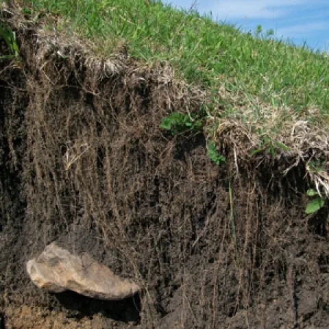 soil weathered from rock