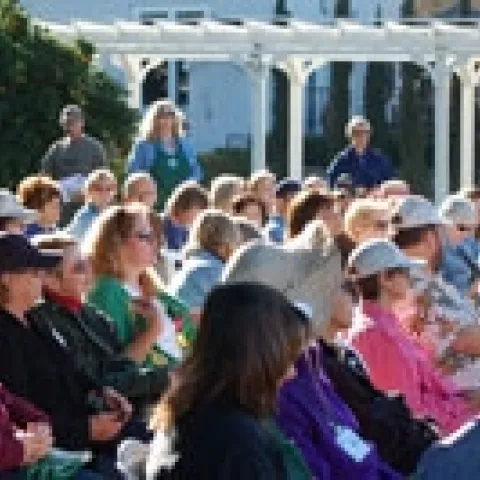 Rose-Prunning-2011-005